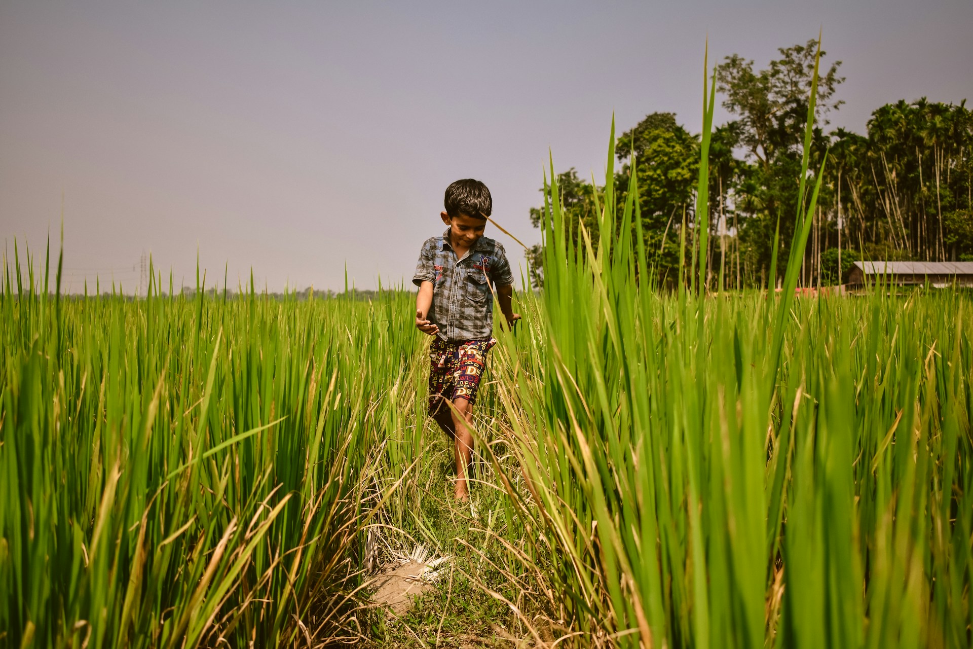Rural Youth in Field